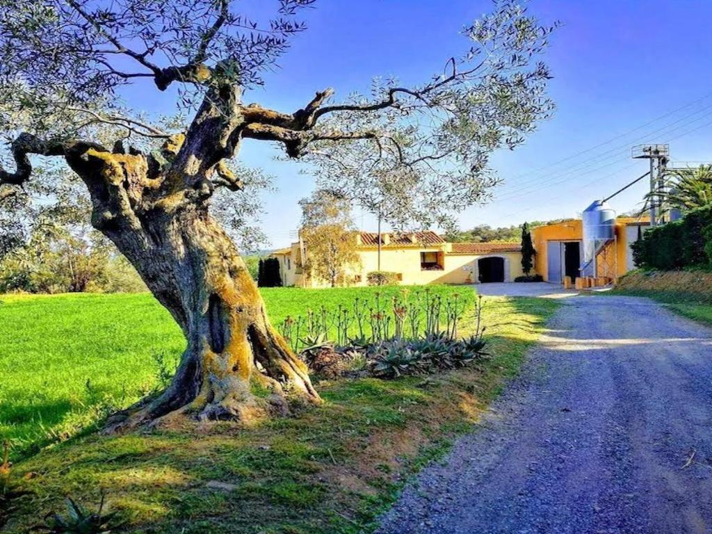 Rural Mas Hortus Vila Girona Exterior foto
